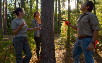 Free Course for Forest Products Sector Careers Now Available Statewide and in On-Demand Format 